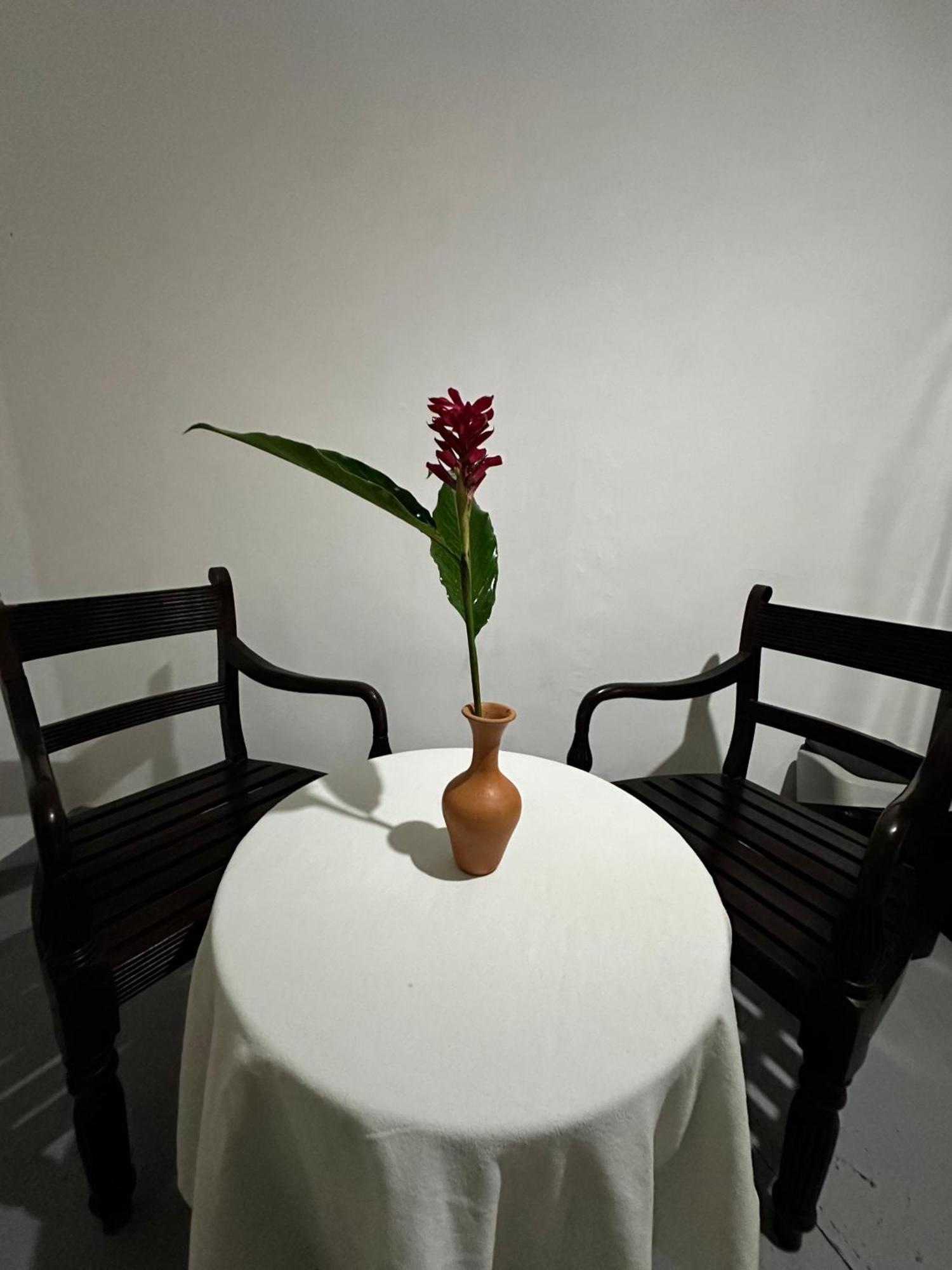 Apartament Casa Del Ceylon Hikkaduwa Zewnętrze zdjęcie